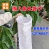 Saco longo de anis estrelado coletar saco de anis estrelado tira longa saco trançado saco de pele de cobra revestido com filme branco espesso material em rolo plástico