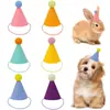 Sombreros de fiesta terminados para gatos y perros, sombreros de cumpleaños para mascotas de conejo y cachorro, accesorios para la cabeza decorativos, accesorios para fotos, 6 piezas