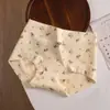Algodón Puro Antibacteriano en la Entrepierna Niñas Clase A Algodón para Bebé Antibacteriano en la Entrepierna Longitud Extendida Cubre Cadera Florales Calzones para Niñas Empaque Sencillo