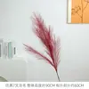 Nuevo Estilo Plumas Falsas Artificiales de Longitud Media para Decoración de Bodas, Hierba de Pavo Real, Cola de Fénix, Cañas Artificiales Decorativas, Flores Falsas para Bodas