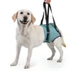 Fornecimento Transfronteiriço de Cintos de Suporte para Patas Traseiras de Animais de Estimação, Cintos de Auxílio à Recuperação Pós-Cirúrgica para Cães e Cordas de Tração para Cães Idosos no Atacado