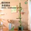 Cactus Tongtianzhu Rascador para Gatos Nido para Gatos Árbol para Gatos Todo en Uno Fabricante de Juguetes para Gatos Admite Venta al por Mayor Transfronteriza Personalizada