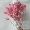 Yongsheng frijol de bienvenida flor de Año Nuevo flor seca decoración de boda decoración del hogar material de ramo flor mariposa blanqueada