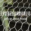 Fornecimento de Fabricantes Malha Hexagonal Malha de Isolamento Malha para Frangos (Plantas Físicas)
