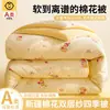 Colcha de inverno de algodão de Xinjiang, espessa e quente, adequada para primavera e outono, colcha fresca para dormitório estudantil no verão, universal para todas as estações