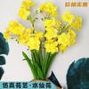Pequeño Ramo Fresco de Narcisos, Flores Falsas, Flores Artificiales, Decoraciones para Sala de Estar, Flores para Mesa de Comedor, Flores de Seda, Nuevo Venta al por Mayor Transfronteriza y Dropshipping