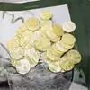 Peças Redondas Populares Acrílicas Transfronteiriças Imitação de Concha Acessórios para Joias DIY Pêndulos para Roupas Bolsas Materiais Artesanais Venda por Atacado