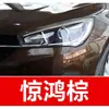 19. Pluma de pintura de retoque para coche Chery, adecuada para los modelos Qiyun 8 y Arrizo 3 E5/E3, una herramienta de reparación de rayones para coche