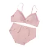 2025 Nuevo Conjunto de Sujetador Sexy de Encaje Delgado sin Aros con Lazo Ropa Interior para Mujer Sujetador Push-Up para Pecho Pequeño