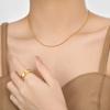Cadena Europea y Americana Transfronteriza Nueva Nicho Simple Torcida Cuadrada de Hueso de Serpiente Moda para Mujer Acero de Titanio Chapado en Oro Personalizado de Alta Gama Cadena de Hueso de Serpiente