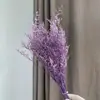 Flor Eterna Hierba del Amante Flor Seca 120G/Ramo Ramo del Día de la Madre Material de Flor Seca para Manualidades Vela de Aromaterapia Flor Flotante