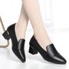 Zapatos de una sola capa con tacón grueso para mujer primavera y otoño 2024 nuevos zapatos de doble uso para mujer zapatos de cuero para mujeres de mediana edad zapatos de madre zapatos de trabajo negros