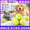 Bola de Feltro para Animal de Estimação Bola de Feltro Colorida Bola para Animal de Estimação Brinquedo para Gato Cachorro 4cm Bola Menta Brinquedo para Cachorro Transfronteiriço Lã