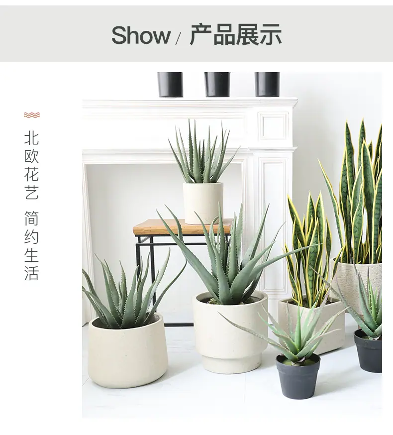 仿真芦荟+虎皮兰_04.jpg