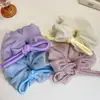 Diadema de Chifón Esponjoso de Alta Gama para Niñas, Estilo Coreano, Bola de Pelo, Cuerda para el Cabello del Cuero Cabelludo, Diadema