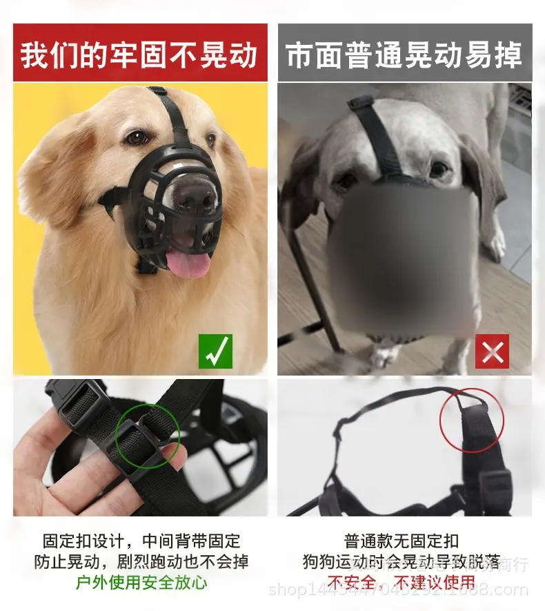 2_副本.jpg