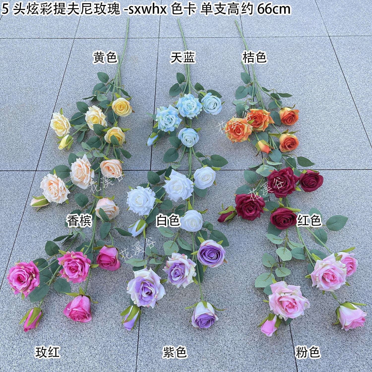 5头炫彩提夫尼玫瑰-sxwhx 色卡 花溪谷.jpg