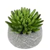 Planta suculenta simulada em vaso 14cm cortina de contas bergamota mil jade planta carnuda decoração de interior flor artificial de plástico atacado