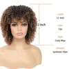 Peluca de encaje frontal europea y americana, cabello rizado, voluminosa, pequeño volumen, tocado, comercio exterior, moda africana, cabello rizado
