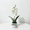 Maceta para orquídeas nueva de tamaño mediano con 5 orquídeas Phalaenopsis, bonsái de plástico para decoración interior del hogar en la sala de estar, flores artificiales y plantas verdes en maceta