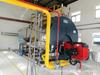 Caldeira Industrial a Vapor Condensante Combustível Óleo Gás Gerador de Vapor para Aquecimento de Água Quente