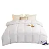 Núcleo de Colcha Pluma Terciopelo Primavera y Otoño para Hotel y Casa de Huéspedes, Colcha de Invierno para Camas Individuales y Dobles, Dormitorio Estudiantil, Colcha para Alojamiento en Casa, Colcha de Fibra Sintética
