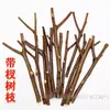 Galhos Decoração de Tronco Galhos Secos Naturais Material DIY Artesanal para Crianças de Jardim de Infância Pedaços de Madeira Pinhas Galhos de Tronco