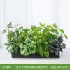 Flor Artificial, Planta Verde Falsa, Decoração de Paisagem, Combinação de Plantas Biônicas, Divisória, Decoração Decorativa, Janela Externa, Floreira, Calha de Flores