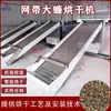 Secador de Barata Americana, Estufa de Barata com Correia de Malha, Secador de Pellets Queimadores de Insetos Formigas, Equipamento de Secagem de Cigarras