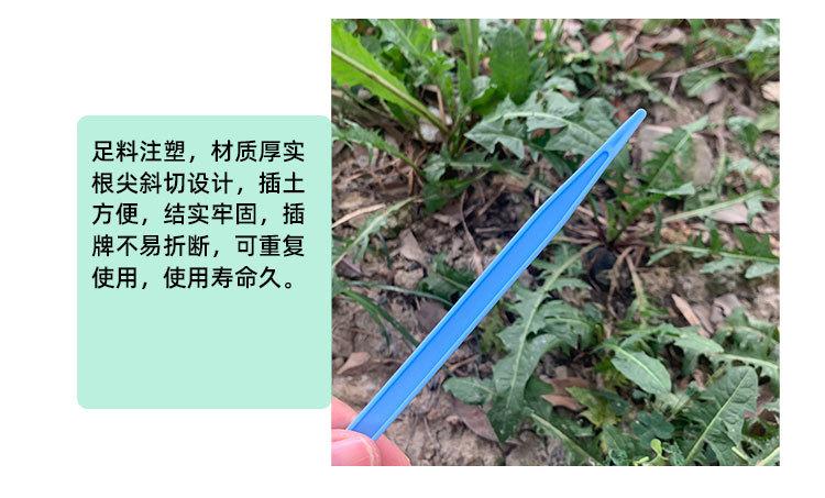 未标题-1_06.jpg