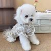 Nuevo Mascota Perro Gato Encaje Vestido Camisa Salir Ropa para Pasear Perros Perro Pequeño Teddy Bixiong Camisa de Primavera y Verano