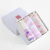 Ropa Interior de Algodón para Niñas, Calzones Triángulo que No Pellizcan el Trasero, Caja de Tres, Aprobado por los Padres, Pantalones de Pan para Niñas, Clase a