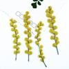 Acácia Flor Seca Em Relevo Gota De Cola Capa De Telefone Móvel DIY Mosaico Verdadeiro Material De Amostra Pacote Planta Espécime