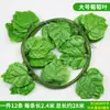 Enredadera Parthenocissus Uva Hoja de Vid Verde Pegada con Goma Decoración de Vid Falsa para Enrollar Tubería Enredadera Verde Plantas Verdes Plantas de Hojas Verdes