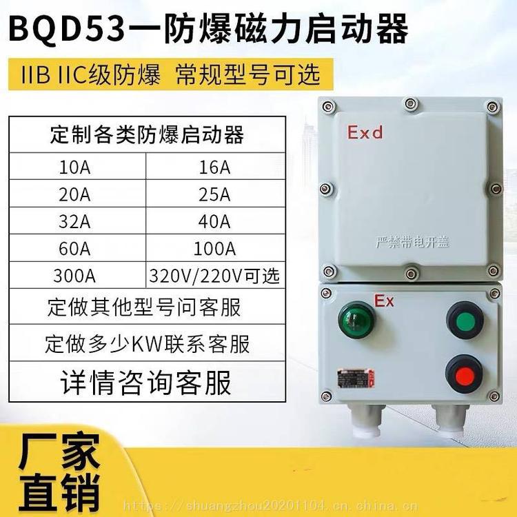 防爆磁力启动器 (2)