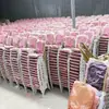 Silla de banquete de hotel, silla general, silla de comedor para banquetes de boda, silla de comedor de restaurante, silla ejecutiva de oficina para capacitación y reuniones con respaldo