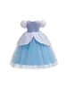 Vestido de Princesa Cenicienta Cenicienta para Niñas Frozen Elsa Malla Abullonada Bordado Vestido para el Día del Niño Infantil