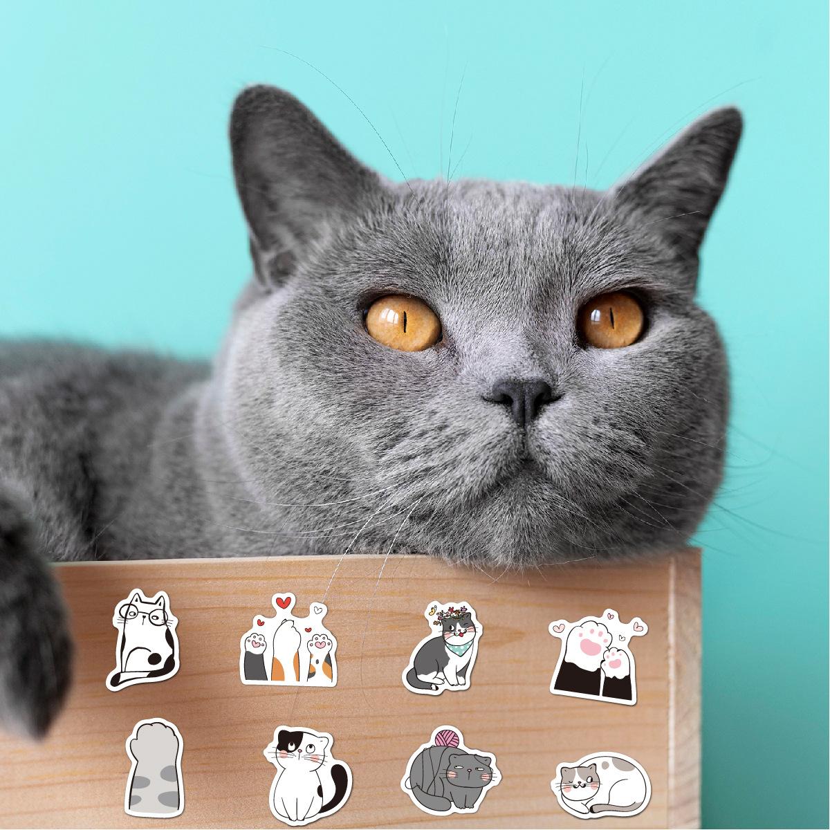 N46猫咪贴纸50B 场景-01.jpg