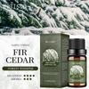 Exportação Transfronteiriça Óleo Essencial de Aromaterapia Solúvel em Água 10ml Completo em Inglês Pão de Gengibre Geleia de Frutas Vermelhas Tema de Natal Óleo Essencial de Aromaterapia