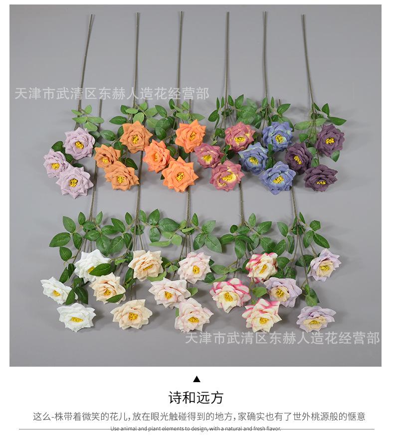 详情_07.png