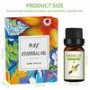 Conjunto de Presente Personalizado Transfronteiriço com 6 Frascos de 10ml Caixa de Presente Óleo Essencial Único Solúvel em Água Essência de Planta Óleo Essencial Extraído Personalizado em Inglês