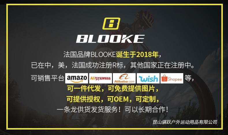 BLOOKE散热来令片-(2)-_01