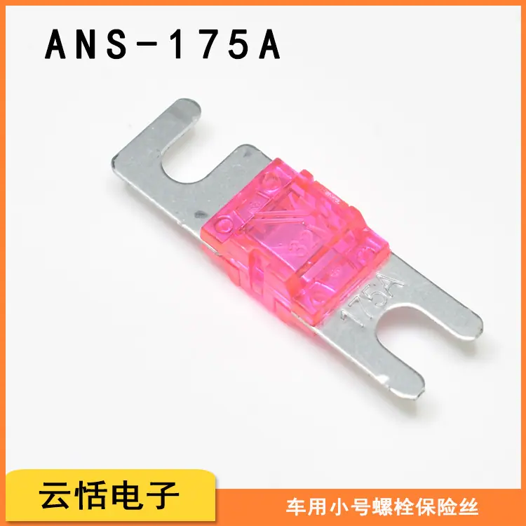 ANS175a.jpg