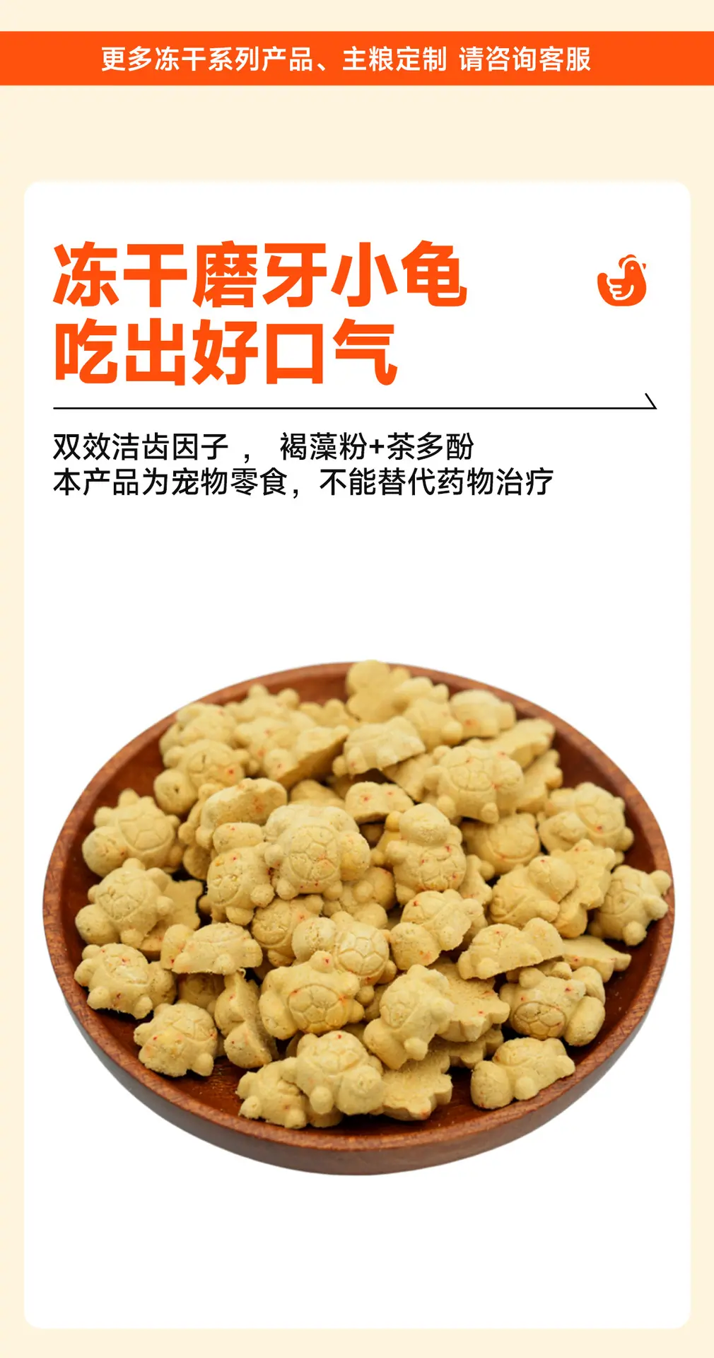 乌龟_03.jpg