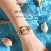 Relojes de marca suiza para damas, relojes de cuarzo luminosos, ultrafinos y a prueba de agua, explosiones de comercio exterior en vivo, una generación de cabello