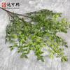 Simulação 3 Garfos Bambu da Sorte Decoração de Casamento Folha Planta Simulada Bambu da Sorte Único Decoração de Sala de Estar Nova Planta Chinesa