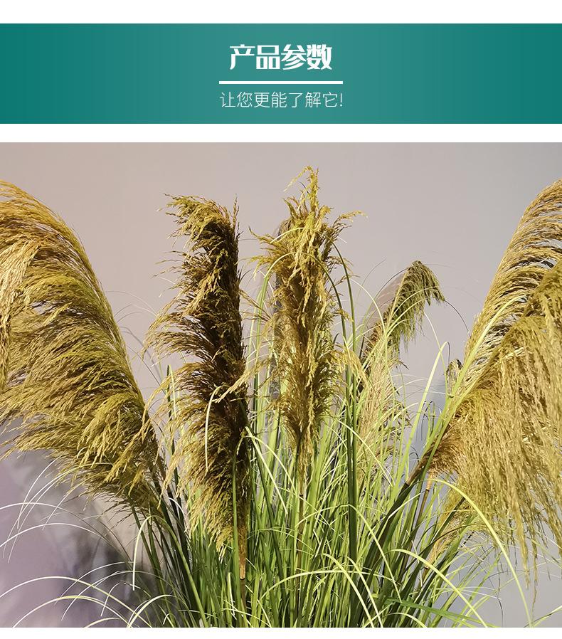 详情页-(2)_05.jpg