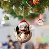 Colgante Plano Nuevo de Acrílico Transfronterizo Lindo Dibujo Animado Bebé Dragón Árbol de Navidad Año Nuevo Nacimiento Decoraciones Familiares