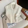 Recomendación de estilo de autosujeción~ Chaleco de punto de cuello alto retro de un solo botón para mujer, nuevo para otoño e invierno, suéter suave y pegajoso para capas
