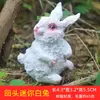 Suministro transfronterizo mini adornos de conejito bonsái musgo micro paisajismo decoraciones modelo animal manualidades de resina